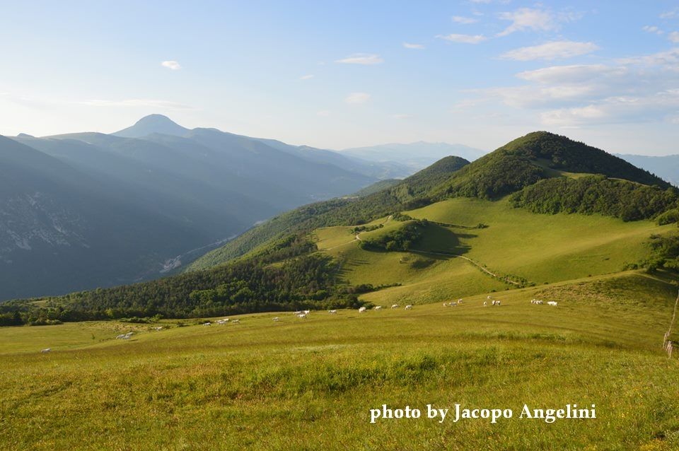 chalet_battista_espertitalia (3)